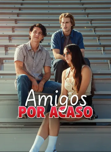 Amigos Por Acaso