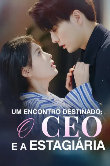 Um Encontro Destinado: O Ceo E a Estagiária